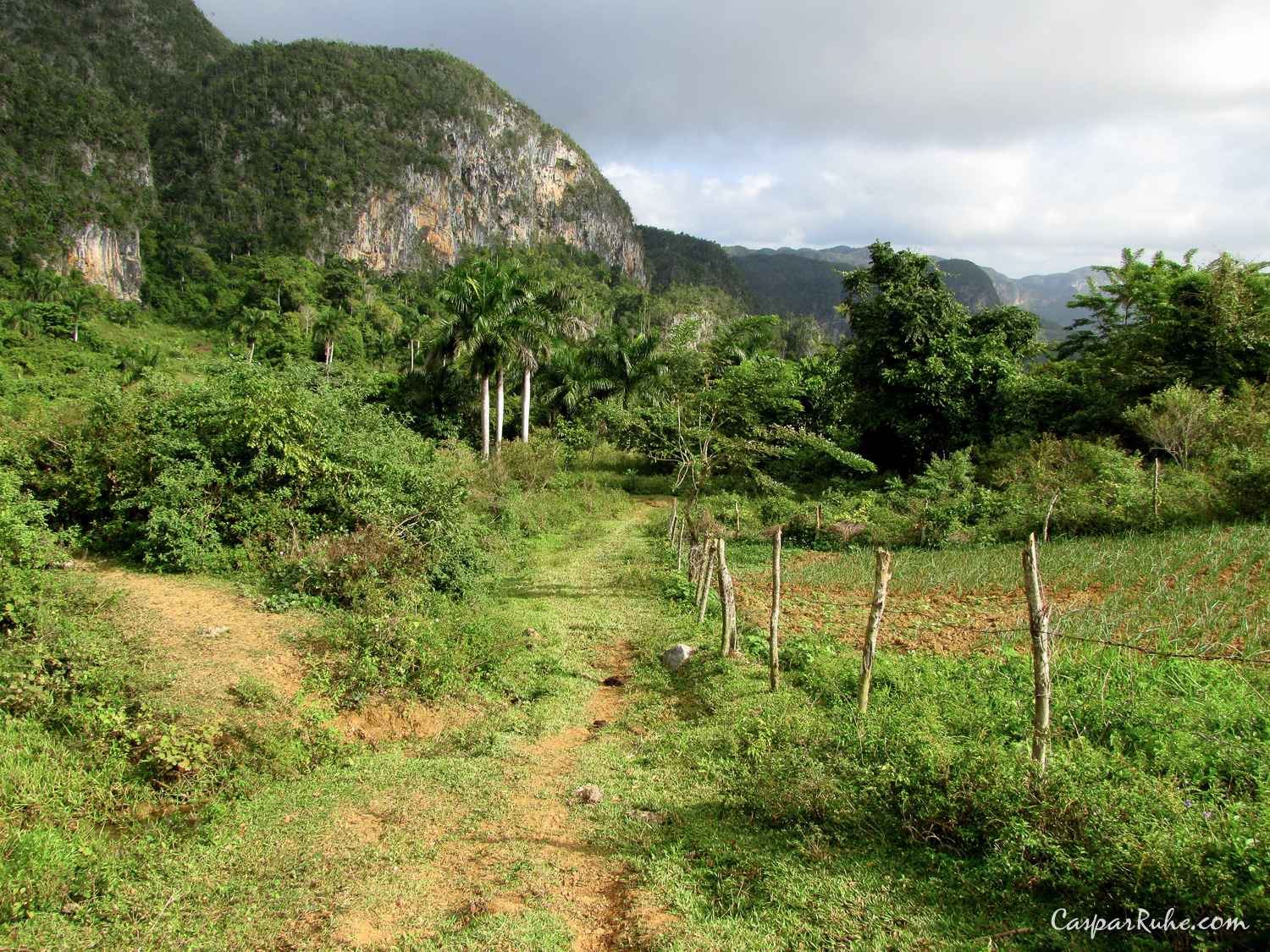 Valle de Viñales National Park
